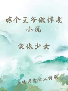 嫁個王爺做悍妻小說